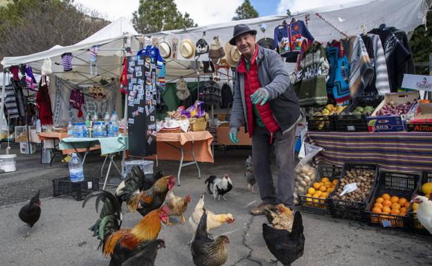 En invierno, los isleños se animan a subir a la cumbre y a consumir productos canarios. 