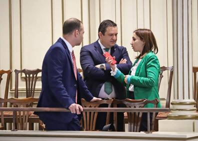 Imagen secundaria 1 - Mena celebra la protección completa del malpaís de Rasca como reserva natural especial