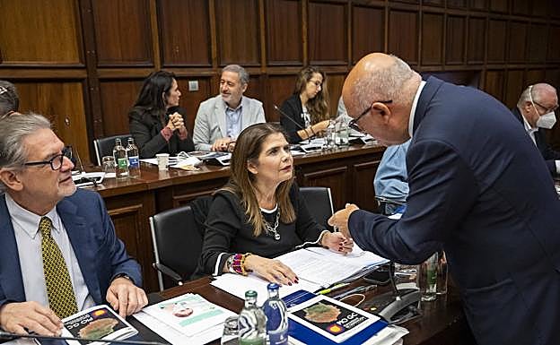 Inés Miranda, consejera de Política Territorial, habla con el presidente del Cabildo en un pleno. 