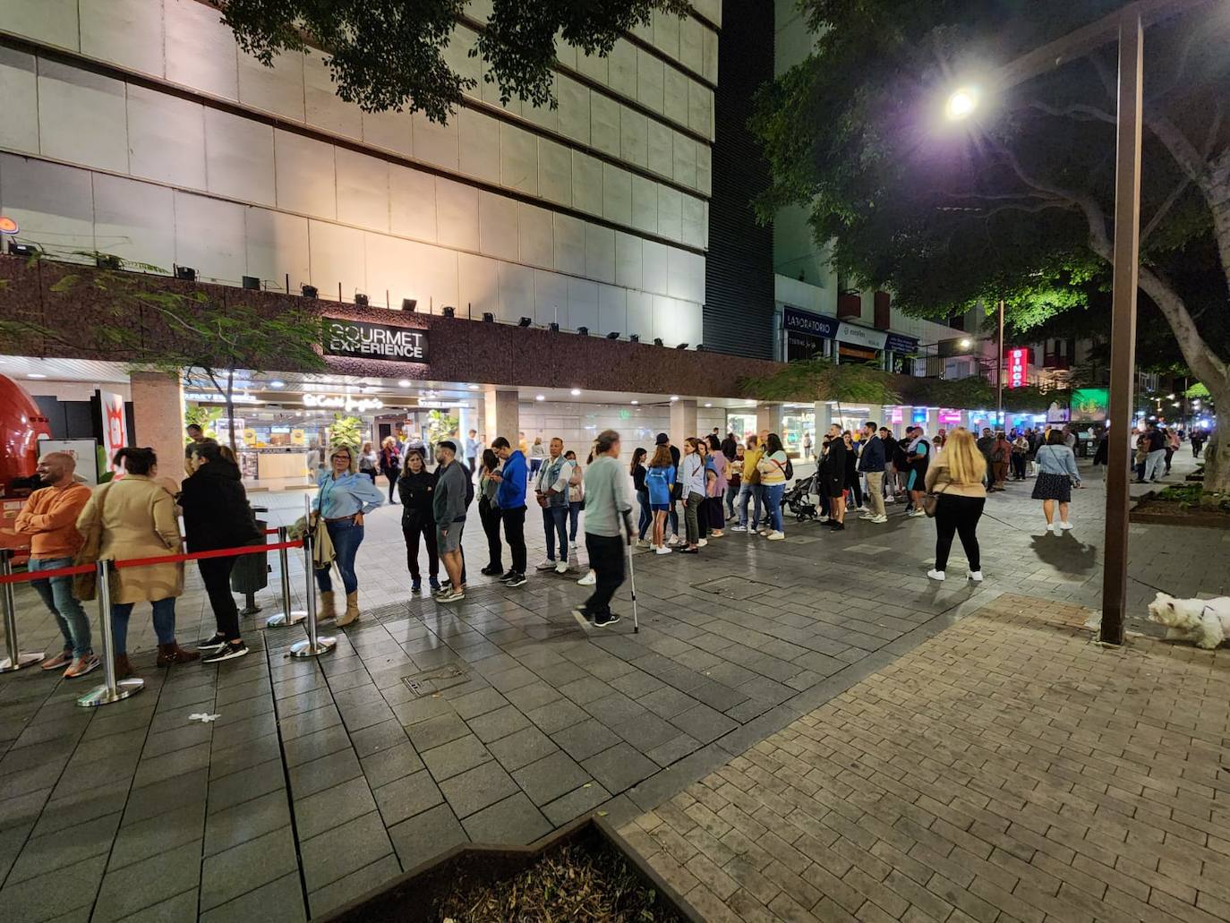 Fotos: GoXo, de Dabiz Muñoz, revoluciona la capital grancanaria