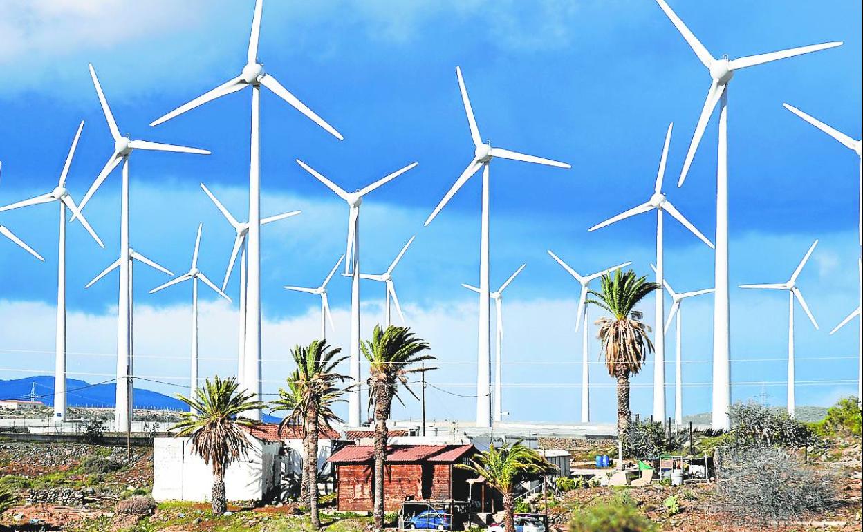 La proliferación de aerogeneradores en las zonas más ventosas de la isla es palpable, como en Aldea Blanca, en el municipio de San Bartolomé de Tirajana. 
