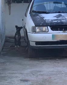 Imagen secundaria 2 - Imágenes del can. 