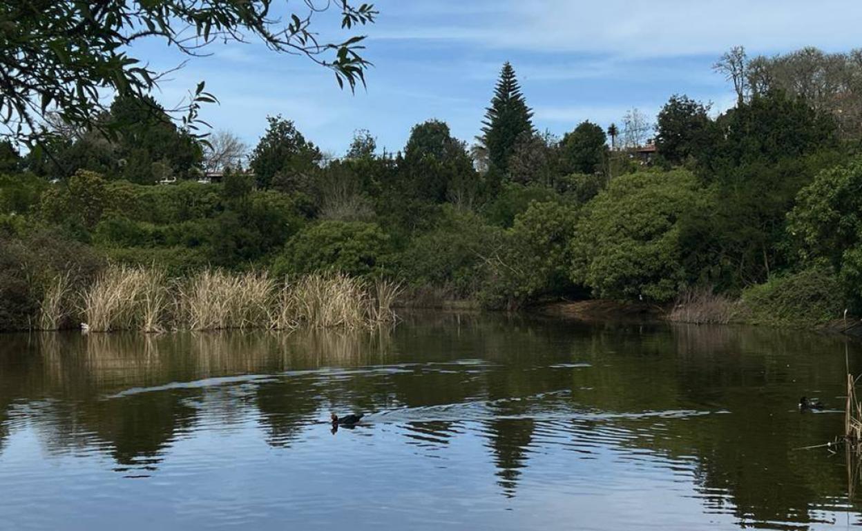 Laguna de Valleseco. 