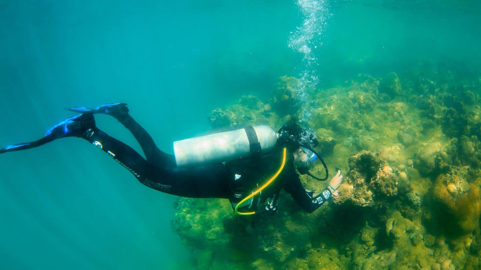 Investigadores del "Proyecto Coral Vivo" bucean para revisar corales, en la región de Recife de Fora, cerca de la ciudad de Arraial D'Ajuda, costa sur de Bahía (Brasil). Un paraíso de arrecifes de coral en Porto Seguro, uno de los destinos más apetecidos de Brasil, lucha por mantenerse en pie frente a las amenazas que llegan a diario con el turismo, el principal motor económico de la ciudad.