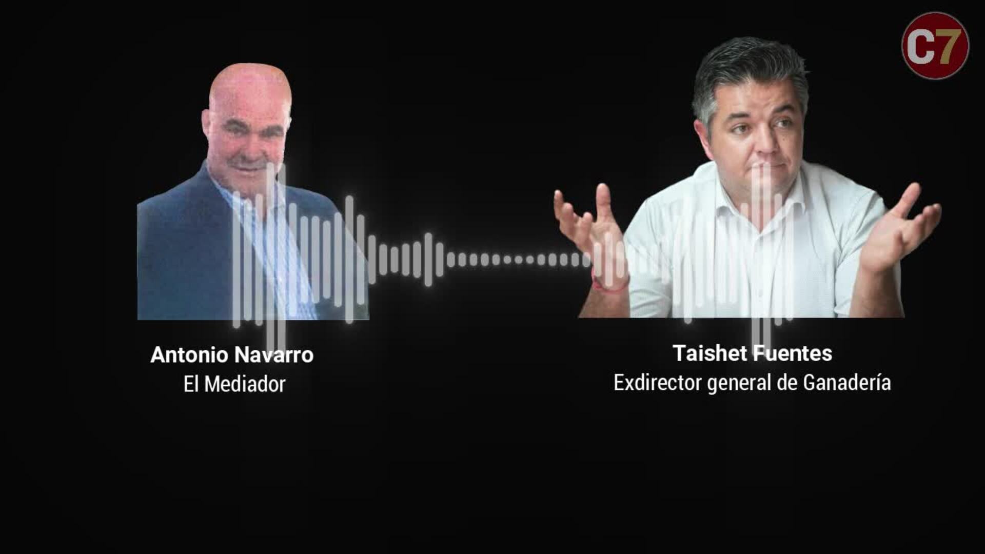 Audios entre el mediador y Taishet Fuentes