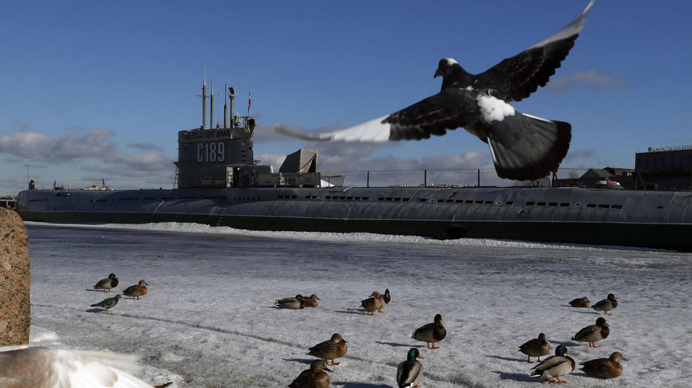 Las aves vuelan frente al museo submarino C-189 en el terraplén del río Neva en un soleado día de primavera en San Petersburgo, Rusia. 