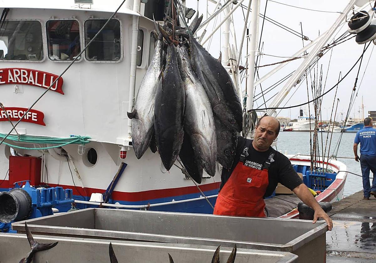 Actividad pesquera en Naos.