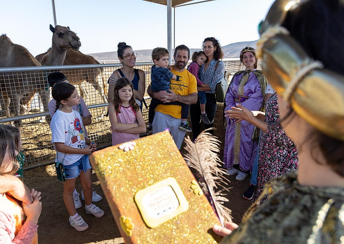 Imagen secundaria 1 - Ramas verdes para los camellos de los Reyes Magos