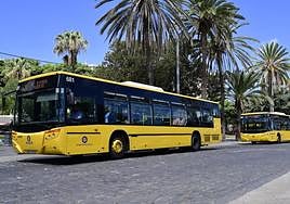 Imagen de archivo de dos guaguas municipales en la capital grancanaria.