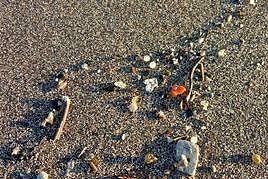 Parte de los materiales detectados en la playa de Bajamar, en Tenerife.