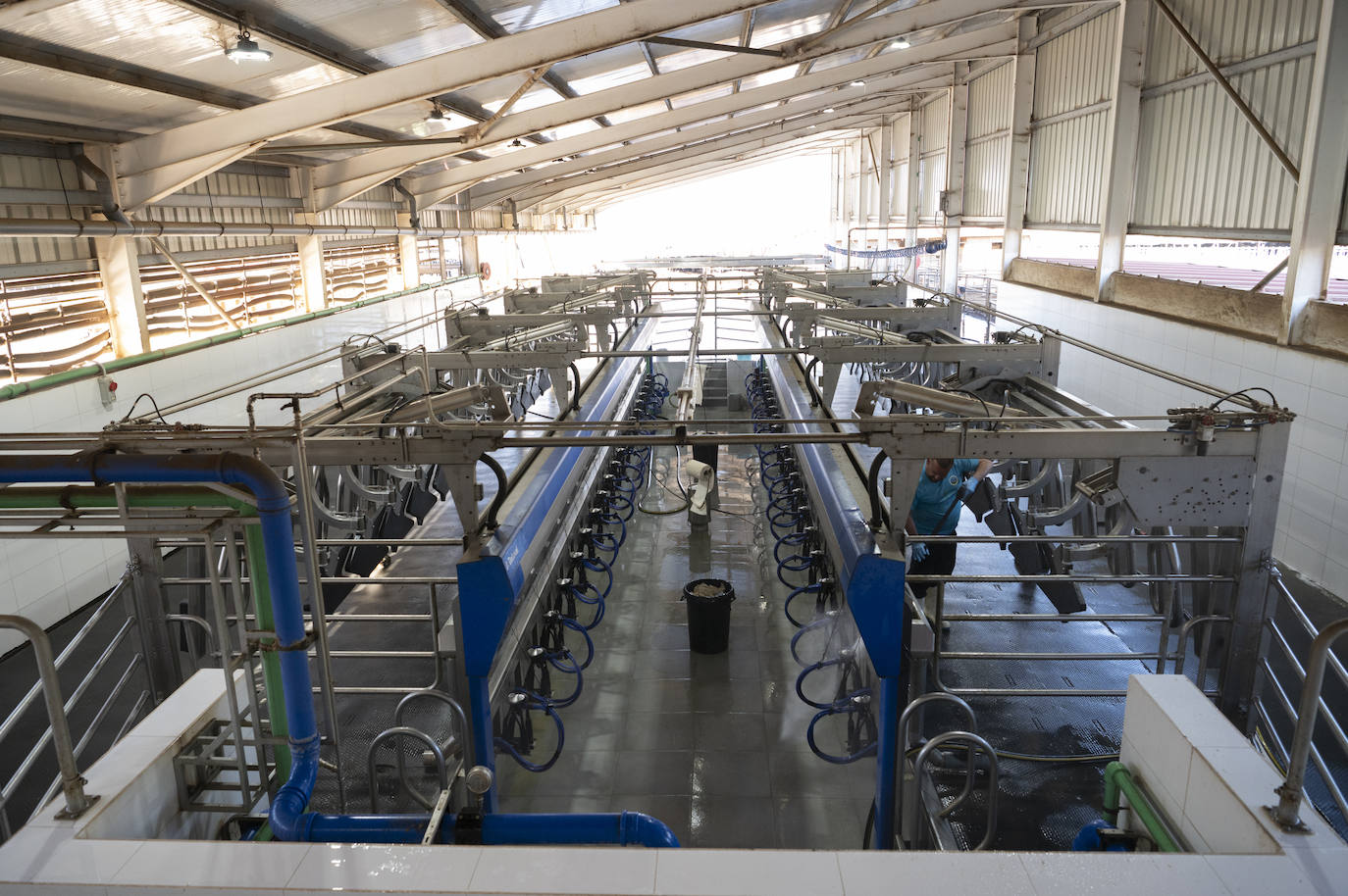 Una granja de La Aldea puntera en sostenibilidad y bienestar animal