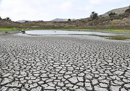 Imagen de archivo de las Charcas de San Lorenzo.