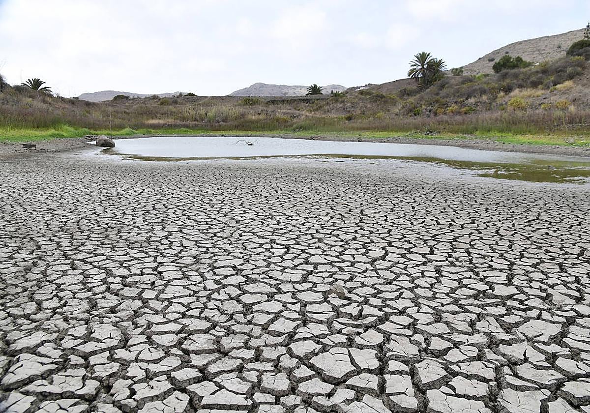 Imagen de archivo de las Charcas de San Lorenzo.