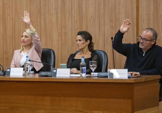 Tres de los ediles de la oposición, Minerva Artiles (Agrupa Sureste), Rosa María Altafaj (Vox) y Lucrecio Suárez (CC).