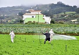 Sostenibilidad para crear valor añadido