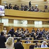 El Senado pide distribuir a los menores inmigrantes de Canarias por todas las autonomías