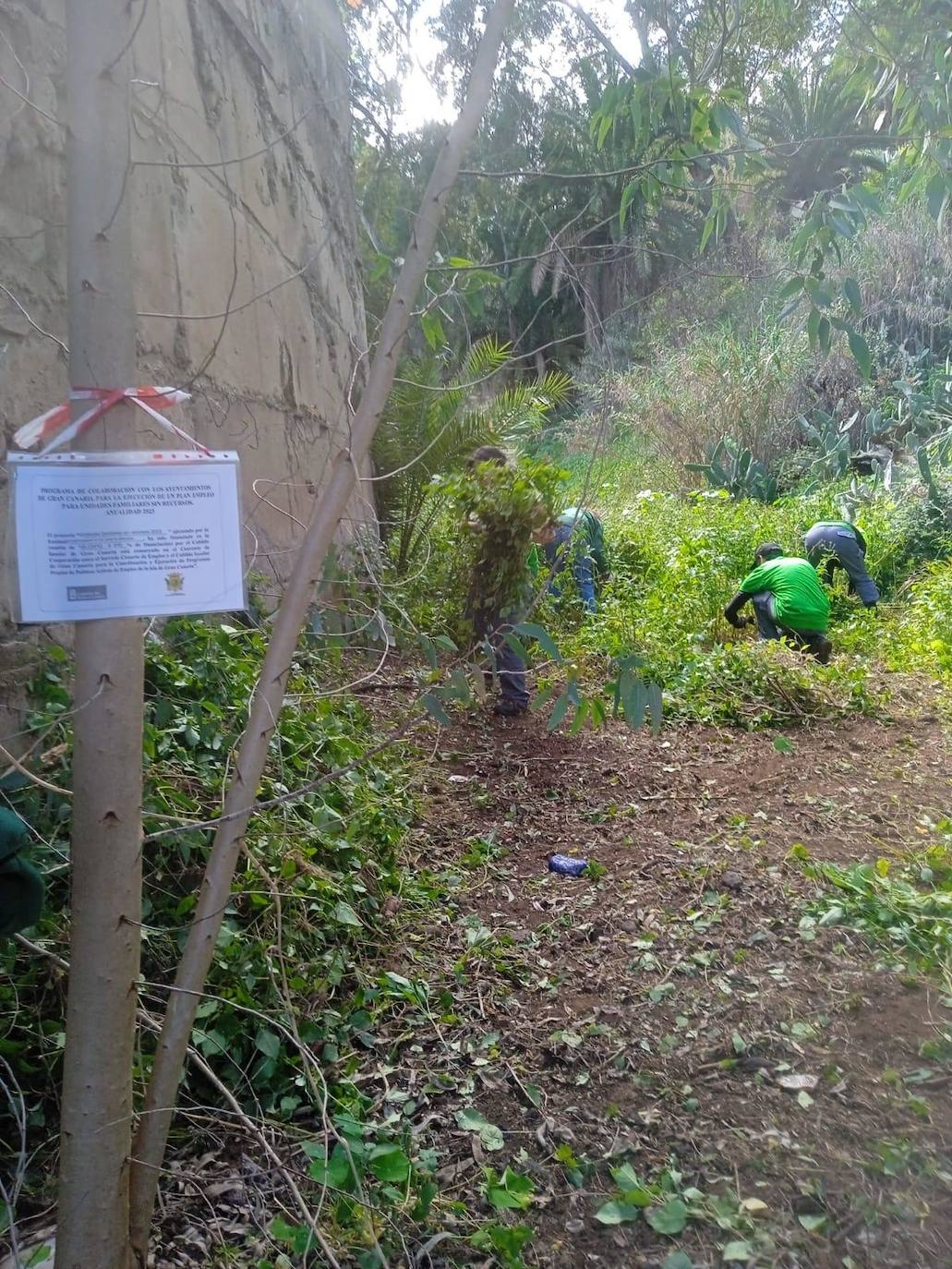 Cuadrillas de trabajadores limpiando los caminos de vegetación.