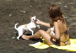 Imagen de un perro con su dueña en la playa.