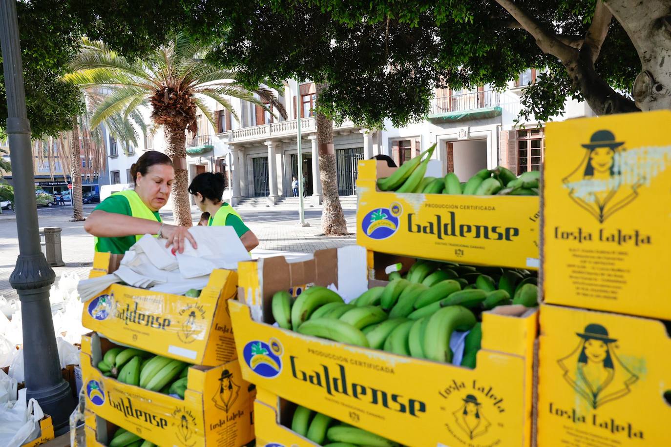 La tractorada toma la capital grancanaria en protesta por la situación del campo