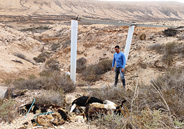 La Oliva pide a los vecinos que no arrojen animales muertos en los espacios públicos