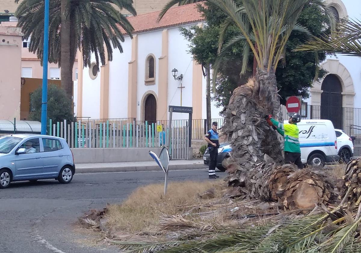 Imagen principal - Imagenes de la actuación realizada por la Policía Local, Parques y Jardines y el SEIS.