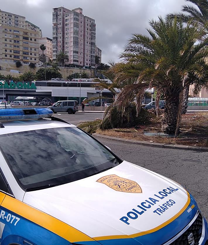 Imagen secundaria 2 - Imagenes de la actuación realizada por la Policía Local, Parques y Jardines y el SEIS.