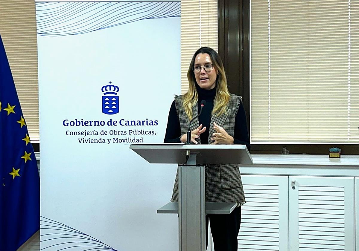 María Fernández, directora general de Transportes.