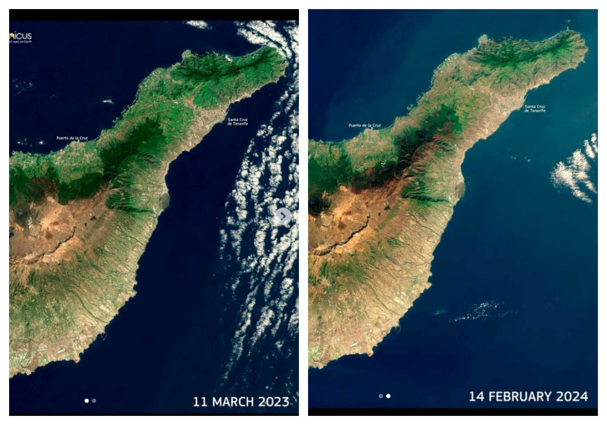 Copernicus muestra la sequía en Tenerife: el manto verde de la isla mengua