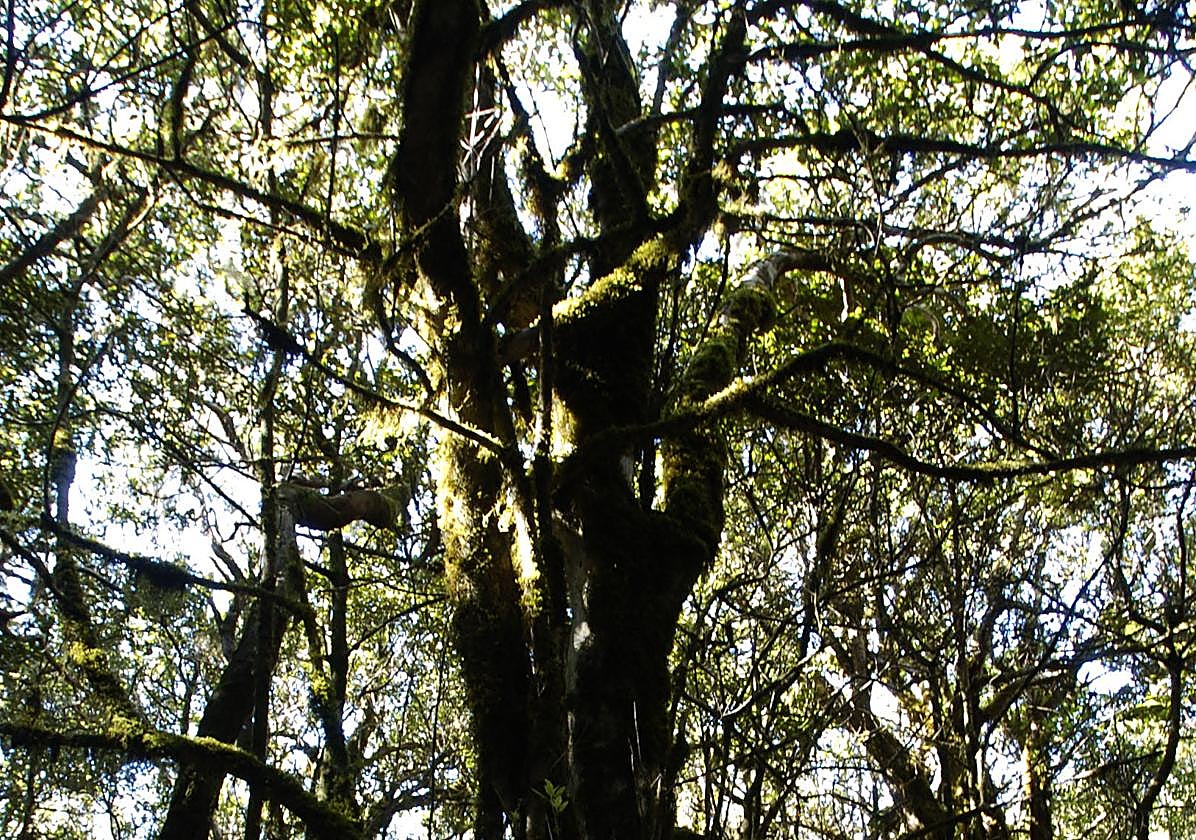 La oportunidad de estos años