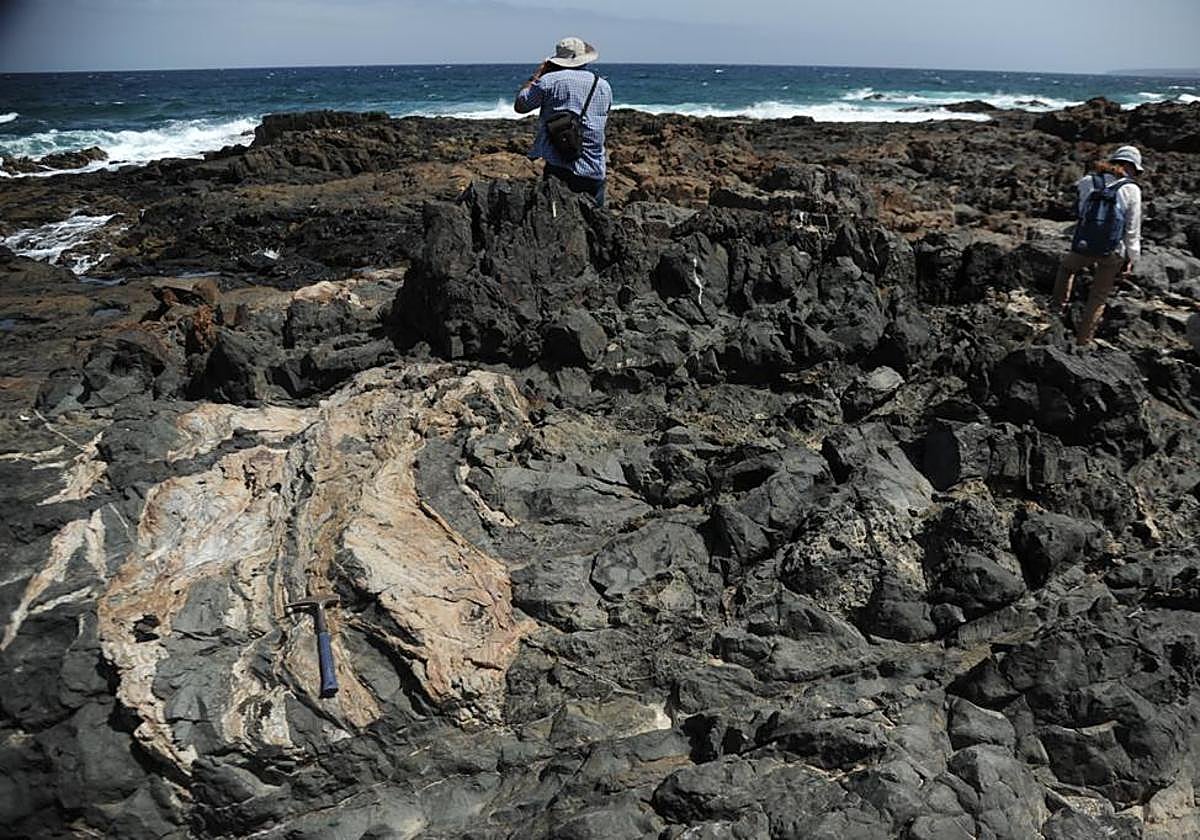 Parte del espacio en el que se planea realizar la investigación.