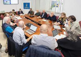 Una imagen de la reunión de la Comisión de Patrimonio Histórico del Cabildo de Gran Canaria.