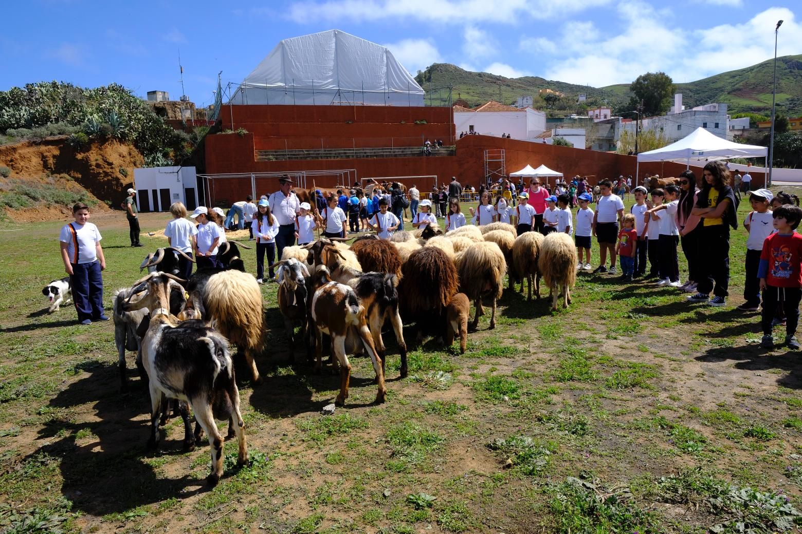 Más de 300 estudiantes conocen la vida rural