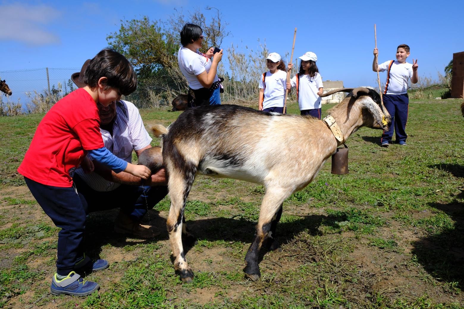 Más de 300 estudiantes conocen la vida rural