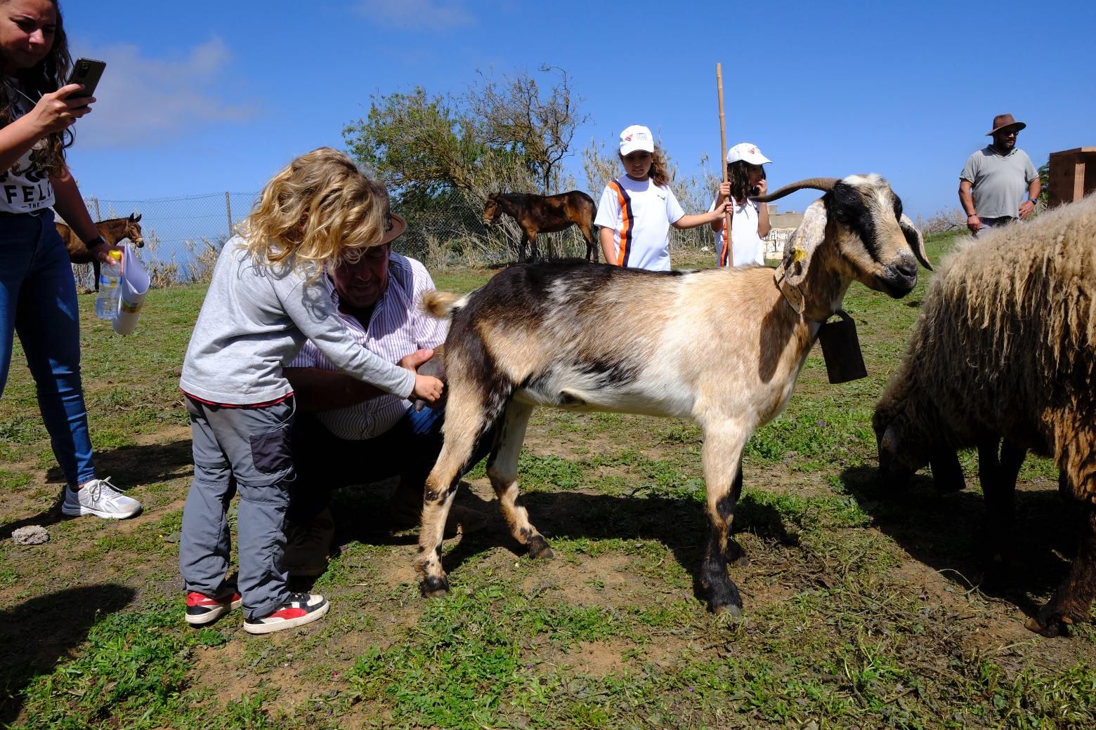 Más de 300 estudiantes conocen la vida rural