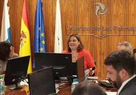 La presidenta del Puerto, Beatriz Calzada, durante un consejo de administración.