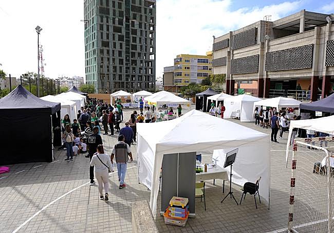 Las carpas expositivas tomaron el colegio.