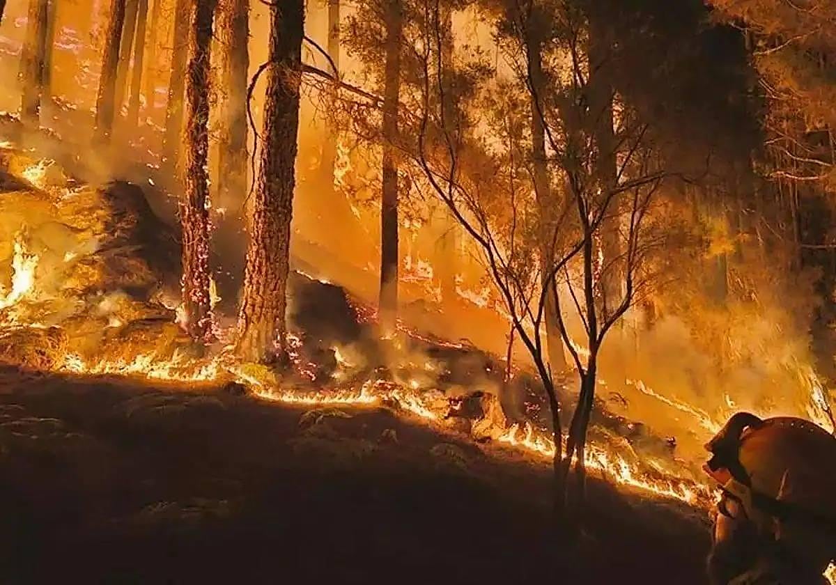 La situación meteorológica y la sequía llevan a Canarias a activar el INFOCA por el riesgo de incendios