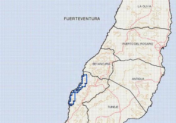 Mapa de las 56 cuadrículas del segundo proyecto de investigación de Tenáridos, en la costa oeste del municipio de Pájara.