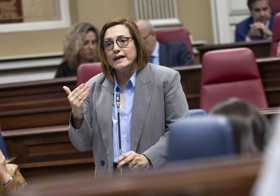 La consejera de Bienestar Social, Candelaria Delgado, durante su intervención en la cámara canaria.