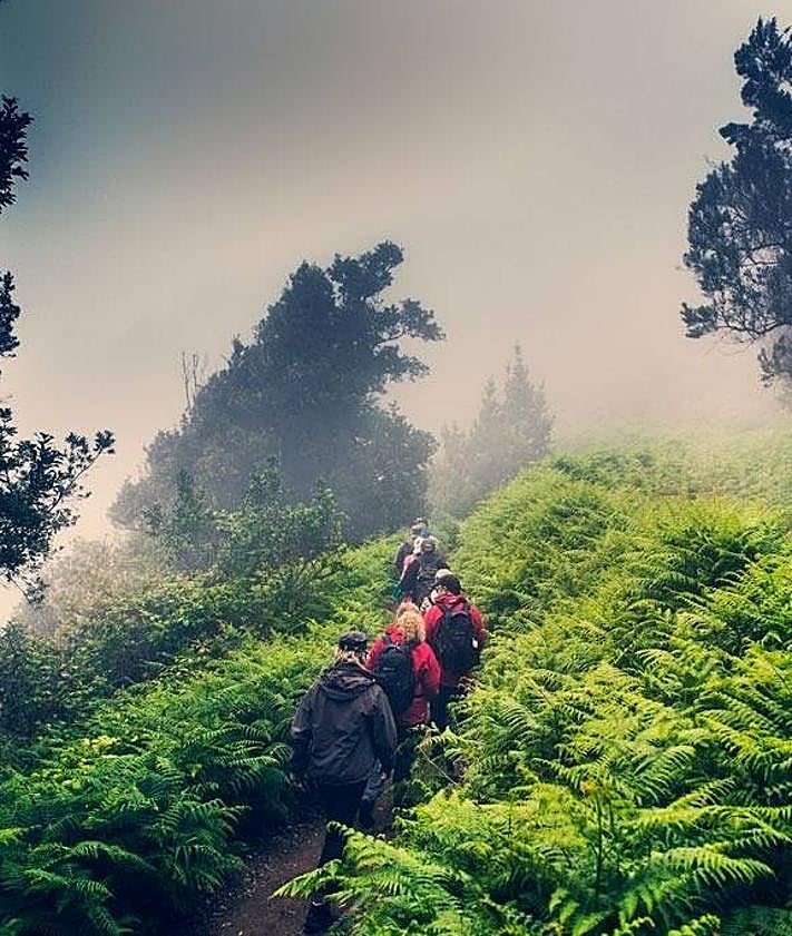 Imagen secundaria 2 - Tradición, cultura y naturaleza, una experiencia única para disfrutar de la Semana Santa en La Laguna