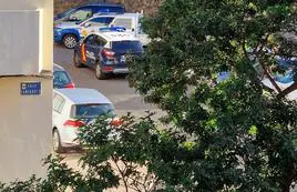 Coches de la Policía Nacional y de la Policía Local en el lugar del suceso.