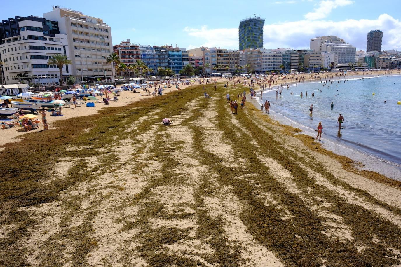 Playa, compras y paseos por la capital grancanaria este Jueves Santo