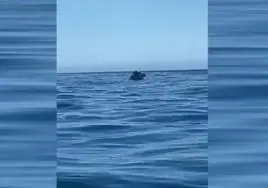 Captura de uno de los vídeos en la que puede verse el coche en medio del mar.