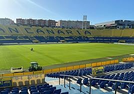 Así está ya el césped del Estadio de Gran Canaria.