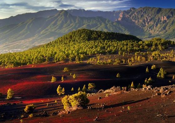 Sus senderos serpentean, son una oportunidad idílica para explorar sus espacios naturales.