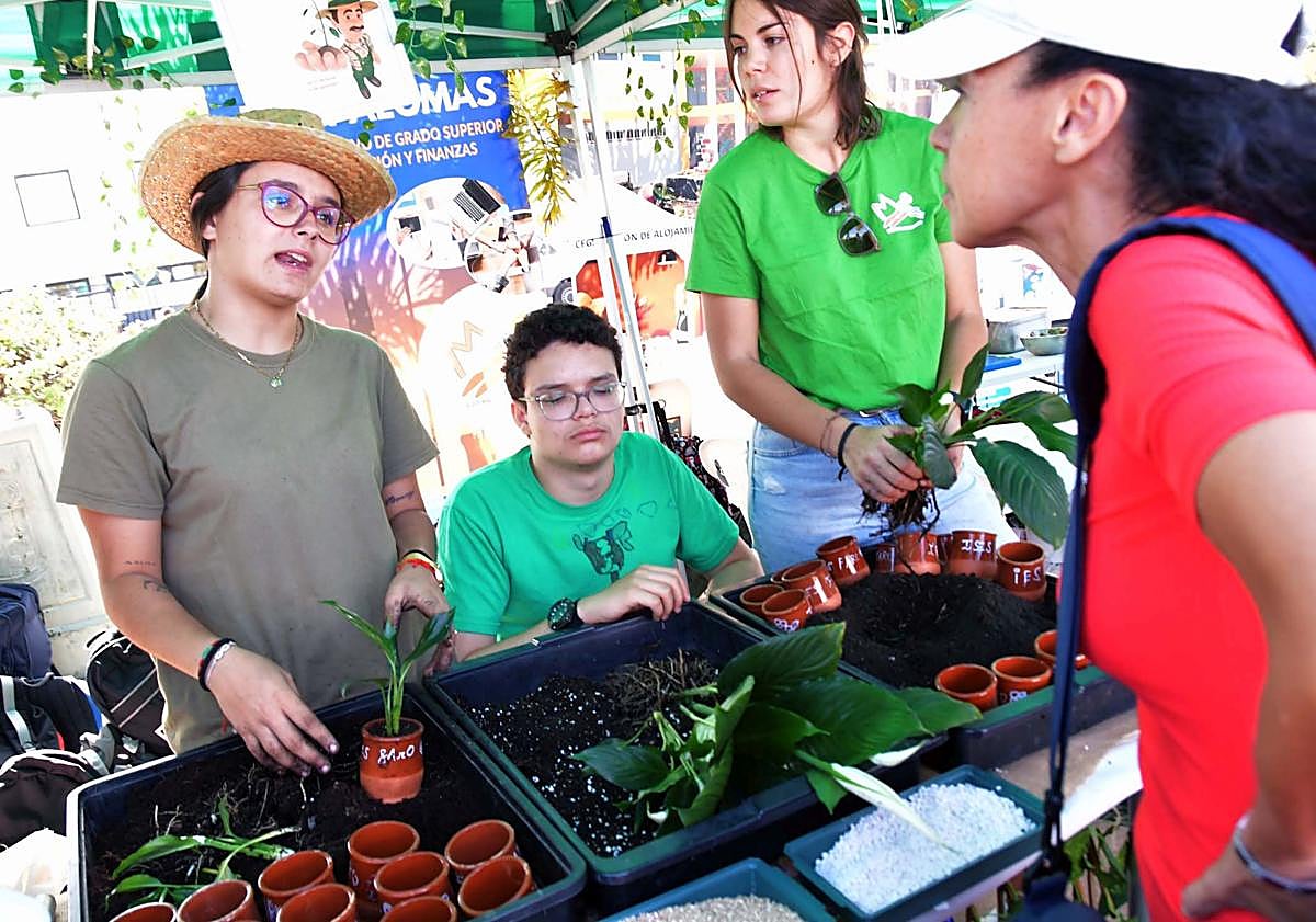 Imagen principal - Un millar de jóvenes y desempleados asiste a la Muestra de Empleo de Maspalomas
