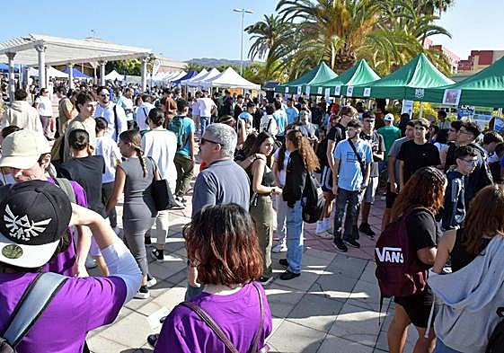 Un momento de la muestra.