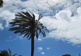 Nubosidad y alerta por fuertes vientos, sin descartar precipitaciones débiles. Ese es el panorama que se dibuja para este martes tanto en Gran Canaria como en gran parte del archipiélago.