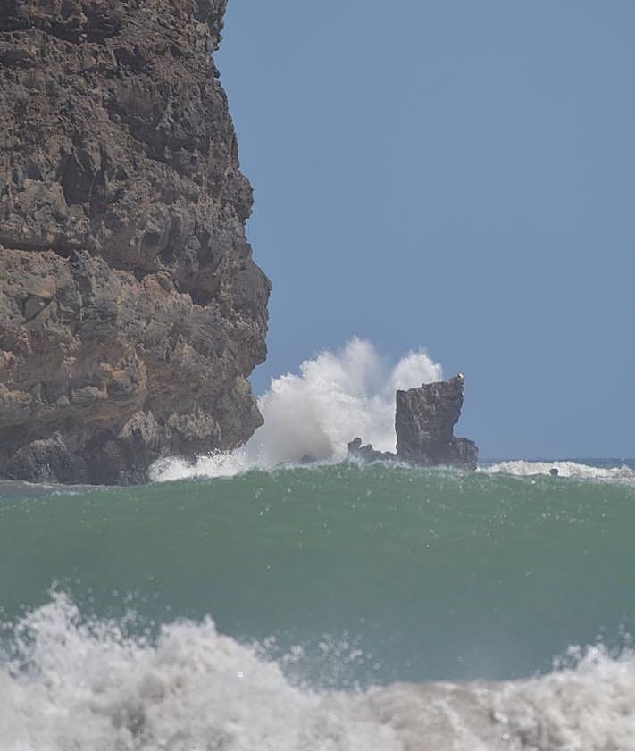 Imagen secundaria 2 - ¿Qué hace un cangrejo en la avenida de Gran Tarajal?