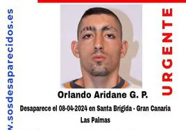 Cartel difundido por la asociación SOS Desaparecidos para facilitar la localización de Orlando Aridane G. P.